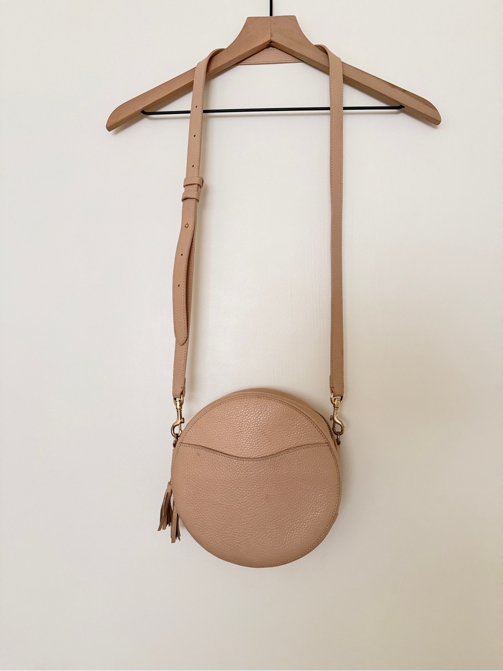 Cuyana circle bag in blush pebbled leather